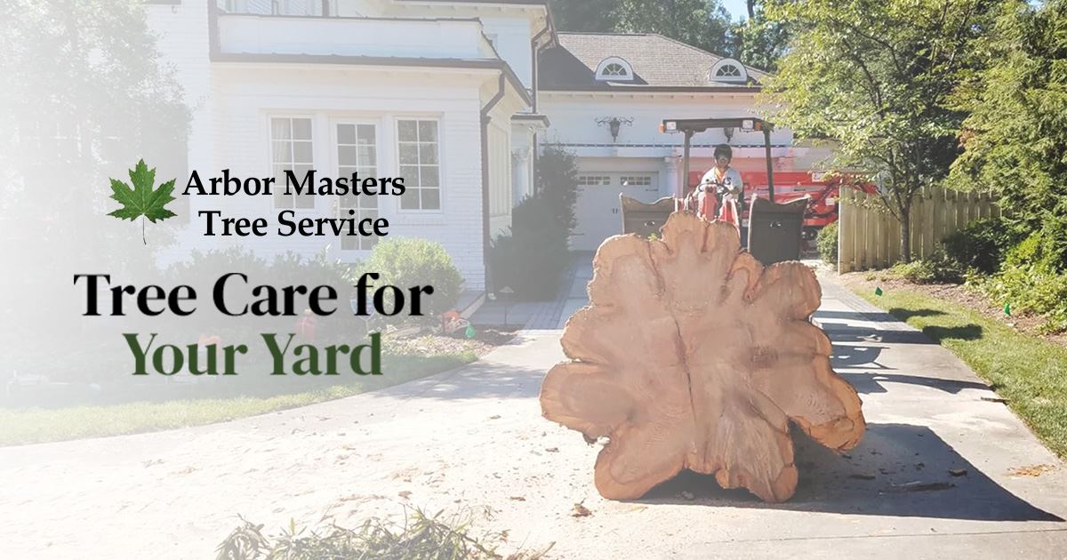 Summerfield Arborists Arbor Masters Tree Services Inc